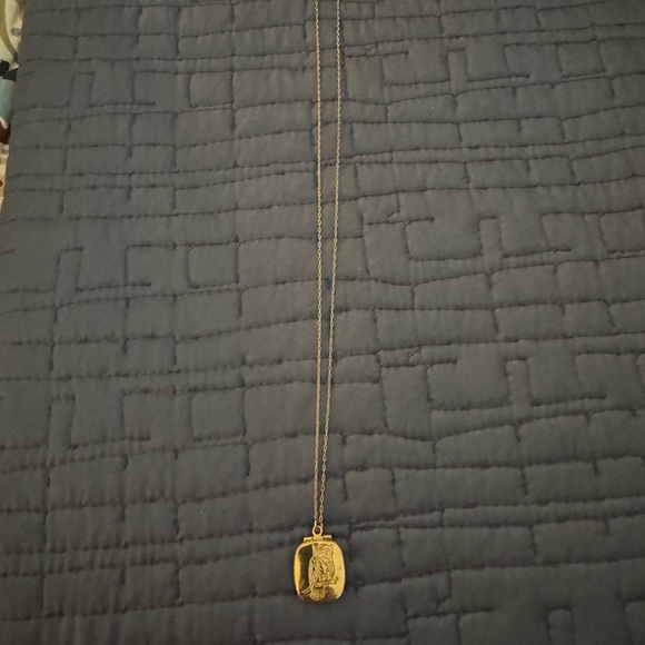 J. Crew Gold Owl Pendant Necklace 24” with Locket - Picture 3 of 5